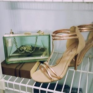 Lucite Clear and Gold Clutch/Purse